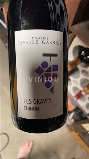 Vallée de la Loire Chinon Domaine Fabrice Gasnier Les Graves Non Millésimé