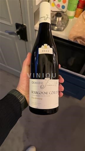 Bourgogne Bourgogne Côte d'Or Domaine Jouard 2022