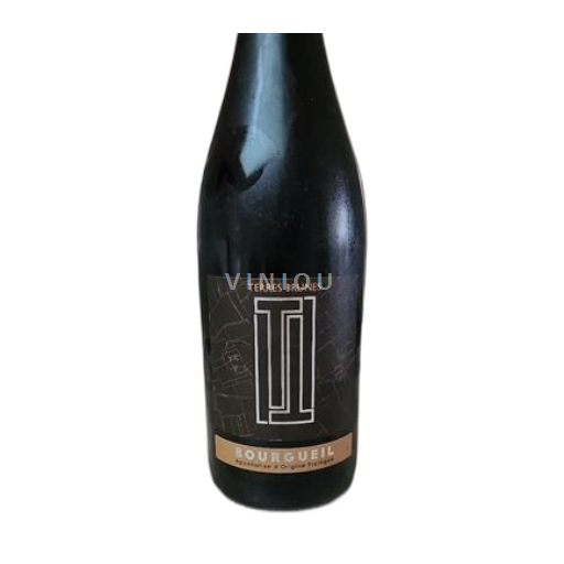 Loire-dalen Bourgueil Domaine Petit Bondieu Terres brunes 2018