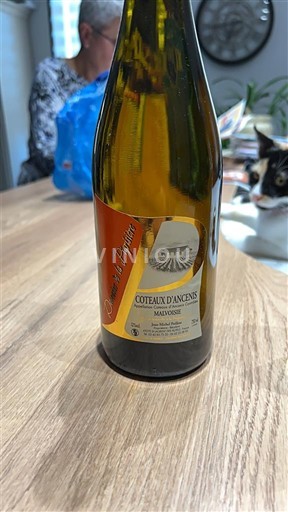 Thung lũng sông Loire Coteaux-d'ancenis Les Pépinières 2023