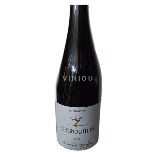 Beaujolais Chiroubles Domaine Dupeuble En Chatenay 2022