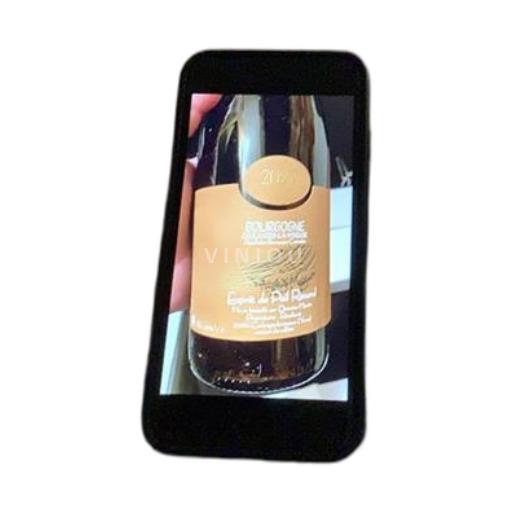 Bourgogne Bourgogne Coulanges-la-Vineuse Martin Esprit de Poil Renard 2022