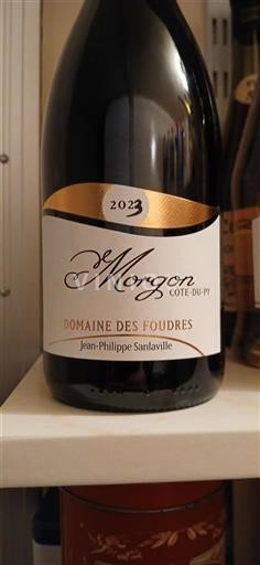Beaujolais Morgon Domaine Des Foudres 2023