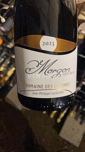Beaujolais Morgon Domaine Des Foudres 2023