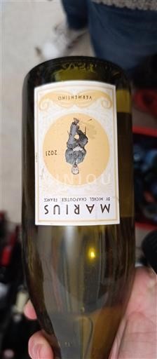 Languedoc-Roussillon Pays d'Oc Maruis Vermentino 2021