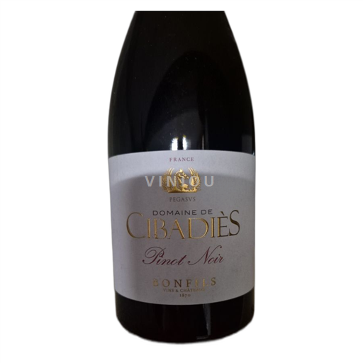 Languedoc và Roussillon Vùng đất Oc Domaine Cibadiès Pegasus 2022