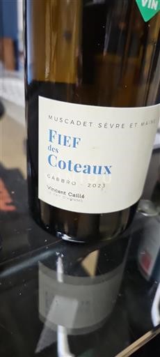 Loiren laakso Muscadet-sèvre-et-maine Vincent Caillé Fief des Coteaux Gabbro 2023