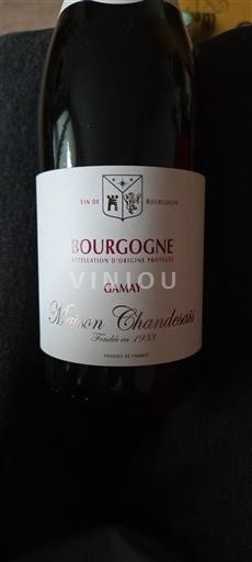 Burgundi Bourgogne Maison Chandesais Gamay Ei vuosikertaa