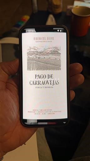 Castilien og León Ribera del Duero Pago de Carraovejas Finca y Bodega 2021