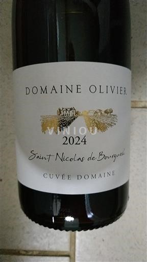 Loire Valley Saint-Nicolas-De-Bourgueil Domaine Olivier Domaine 2024