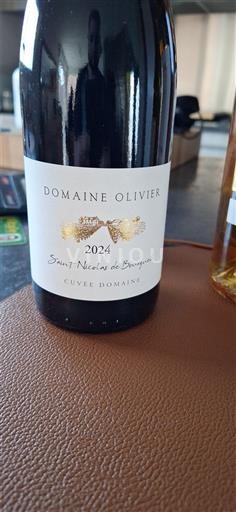 Valle del Loira Saint-Nicolas-De-Bourgueil Domaine Olivier Domaine 2024