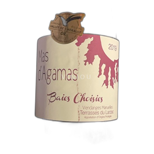 Linguadoca Terrasses-du-Larzac Mas Agamas Baies Choisies Senza annata