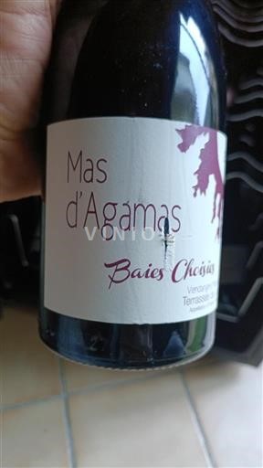 Languedoque Terrasses du Larzac Mas Agamas Baies Choisies Não Sazonado