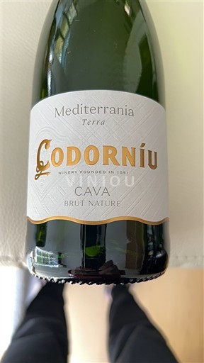 Mousserande viner Blanc brut-nature Mediterrania Terra Codorníu Non millésimé Spanien Katalonien Cava DO