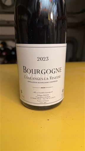 Bourgogne Bourgogne Coulanges-la-Vineuse Philippe Sacco 2023