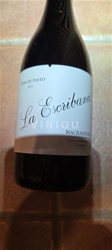 Wijnen Blanc sec La Escribana Macharnudo 2021 Spanje Andalusië Niet gespecificeerd DO