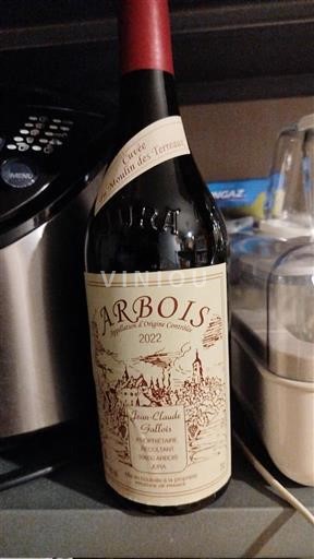 Jura Arbois Jean-Claude Guillot Vieille Vigne La Fontaine des Terres 2022