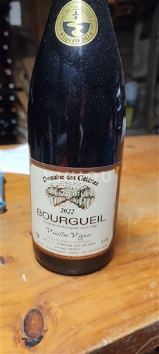 Loiren laakso Bourgueil Domaine Des Geleries Vieilles Vignes 2022