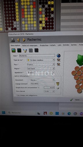 Sudoeste Pacherenc-du-vic-bilh Pacherenc 1995