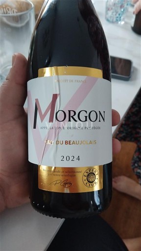 Beaujolais Morgon Gebotteld door 2024