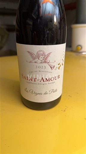 Beaujolais Saint-Amour Les Vignes du Plats 2023