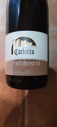 Trentino-Južna Tirolska Zgornje Poadižje Carlotto Filari di Mazon 2021