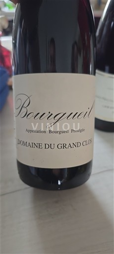 Thung lũng sông Loire Bourgueil Domaine Grand Clos 2015