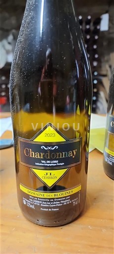 Dolina Loare Domaine Des Blouines 2023