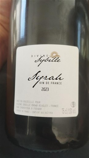 Linguadoca Non specificato Divine Sybille 2023