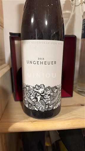 Pfalz Niet gespecificeerd Reichsrat von Buhl Ungeheuer 2016