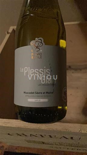 Loiredalen Muscadet-Sèvre-et-Maine Pétard Bazile Le Plessis Glain Les Vieilles Vignes 2023