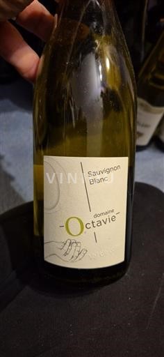 Thung lũng sông Loire Touraine Domaine Octavie Valcocot 2023