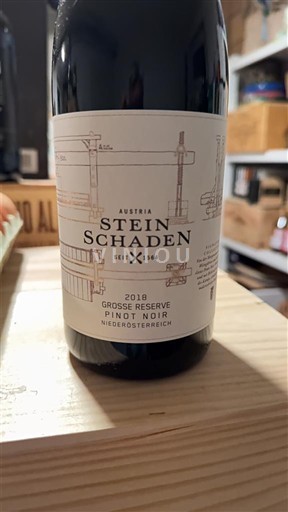 Hạ Áo Không được chỉ định Stein Schaden Grosse Reserve 2018