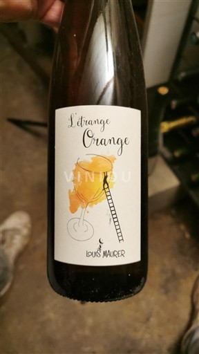 Alsasko Gewürztraminer Louis Maurer L'étrange Orange 2021