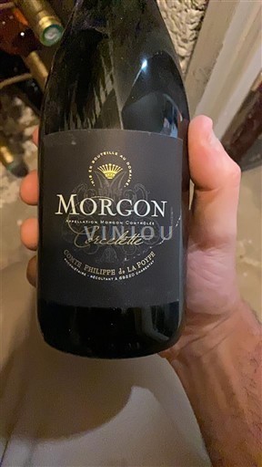 Beaujolais Morgon Domaine Philippe & La Porte Corcelette 2019