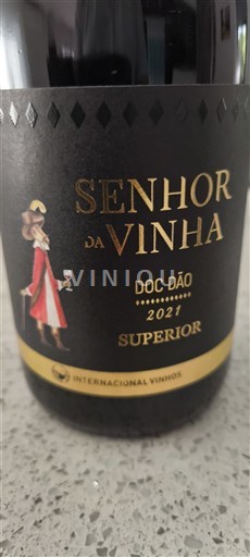 Viner Rouge sec Superior Senhor da Vinha 2021 Portugal Portugal Dão DOC
