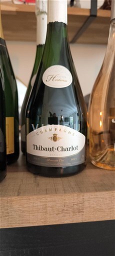 Champagne Šampanské Thibaut-Charlot Hortense Neročník