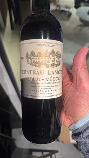 Bordeaux Haut-Médoc Cru Bourgeois Château Lamothe 1998