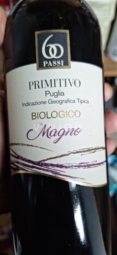 Pouilles 60 Passi Magno Non Millésimé