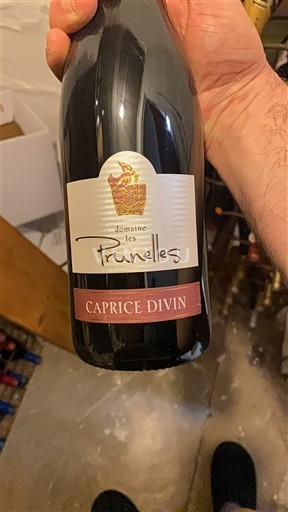 Valle del Ródano Côtes del Ródano Domaine Les Prunelles Caprice Divin 2009