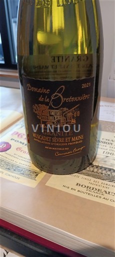 Valle del Loira Muscadet-sèvre-et-maine Domaine La Bretonnière Granite 2021