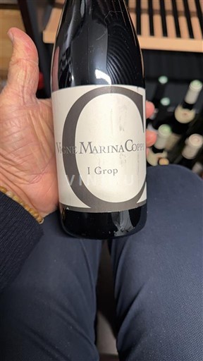 Piemonte Colli Tortonesi Vigne Marina Coppi I Grop 2012