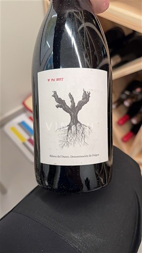 Kastilien und León Ribera del Duero Psi 2017