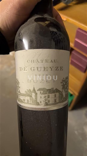 Tây Nam Buzet Château Gueyze 2010