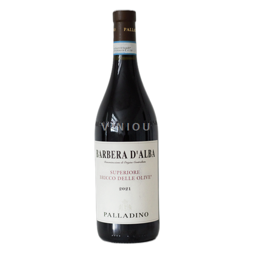 Piémont Barbera d'Alba Palladino Bricco delle Olive 2019