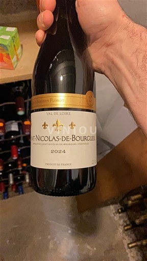 Loire-dalen Saint-Nicolas-De-Bourgueil Maison Augustin Florent 2024