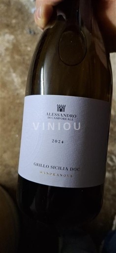 Sicilia Không được chỉ định Alessandro di Camporeale Vigna di Mandranova 2024