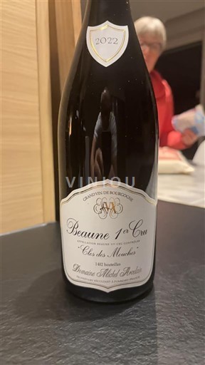 Bourgondië Beaune Premier Cru Domaine Michel Prunier Clos des Mouches 2022