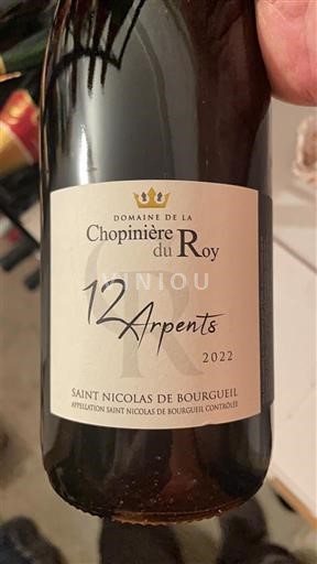 Loiredalen Saint-Nicolas-De-Bourgueil Domaine La Chopinière du Roy 12 Arpents 2022