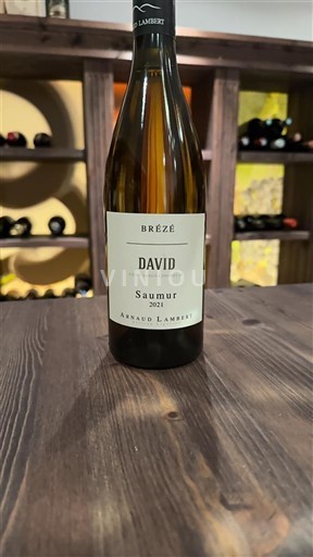 Vini Blanc sec Brézé David Arnaud Lambert 2021 Francia Valle della Loira Saumur AOC